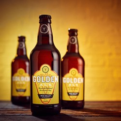 Image of 8x500ml Golden Ale